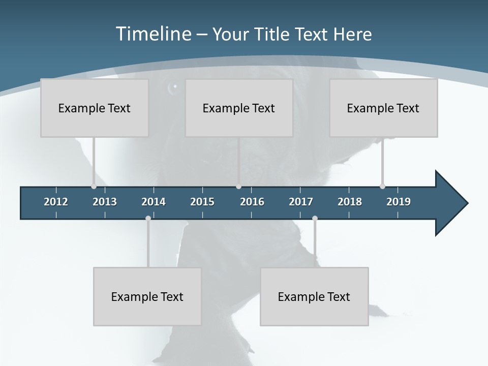 Dog Grey Korsa PowerPoint Template