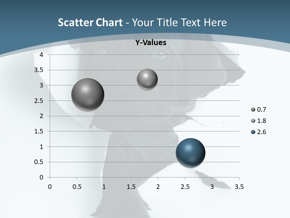 Dog Grey Korsa PowerPoint Template