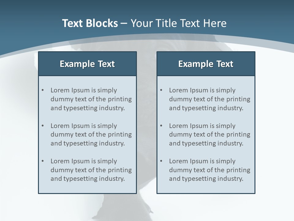 Dog Grey Korsa PowerPoint Template