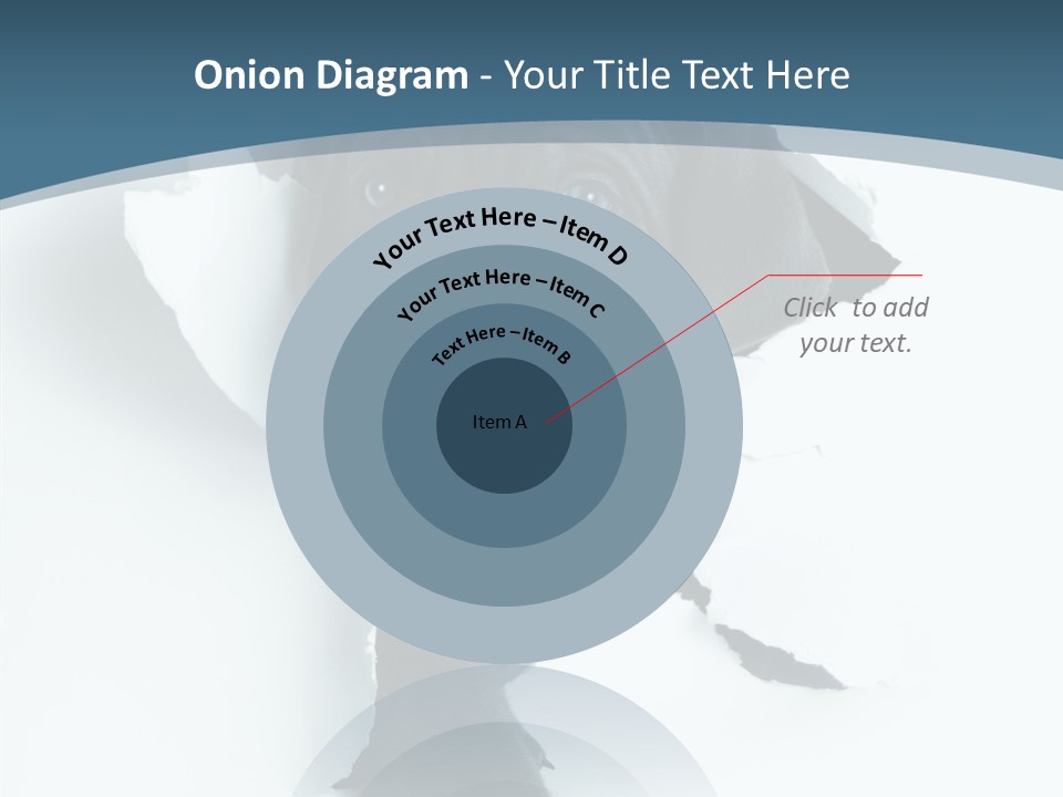 Dog Grey Korsa PowerPoint Template