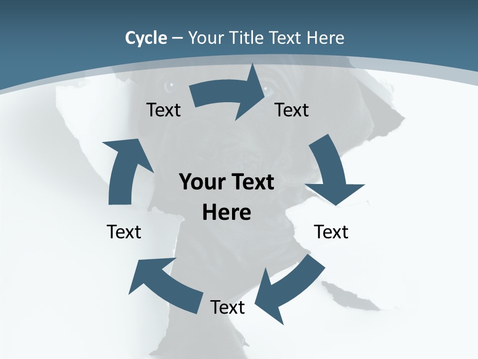 Dog Grey Korsa PowerPoint Template