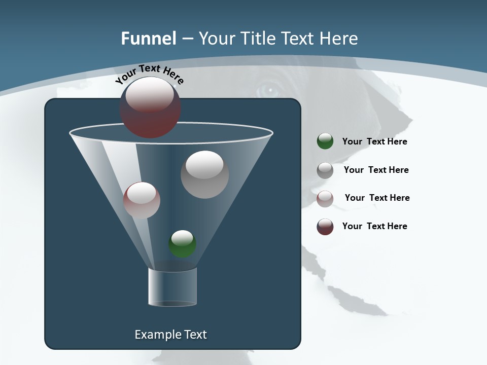 Dog Grey Korsa PowerPoint Template