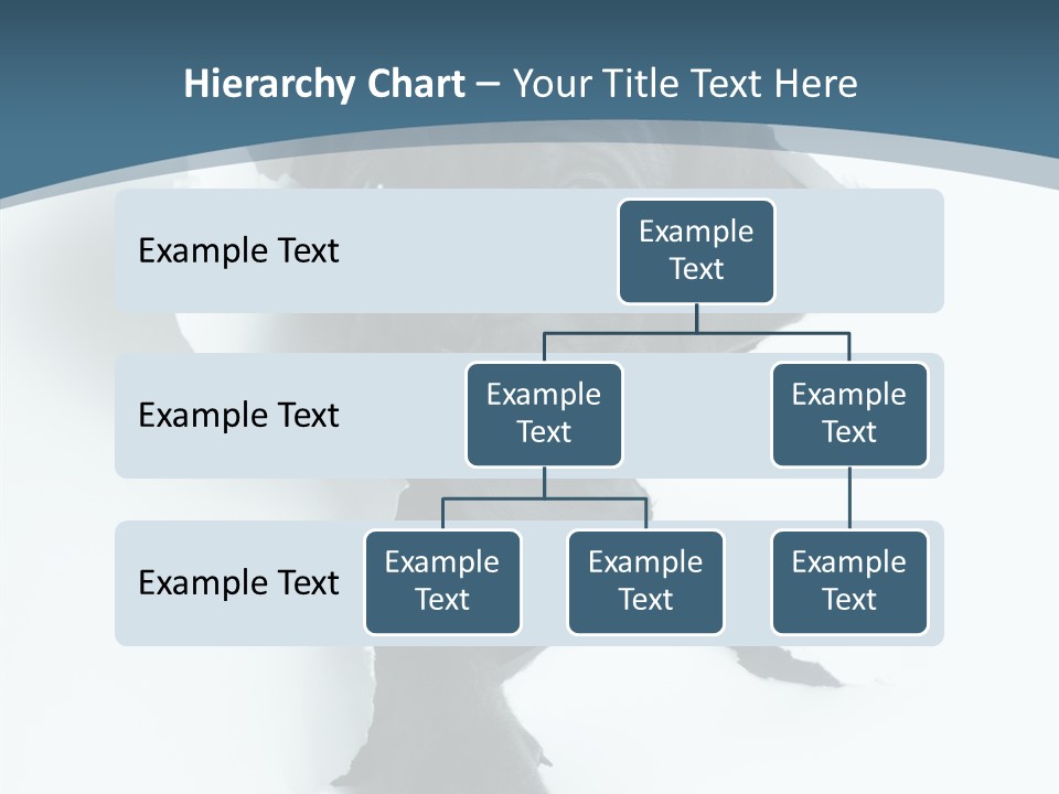 Dog Grey Korsa PowerPoint Template