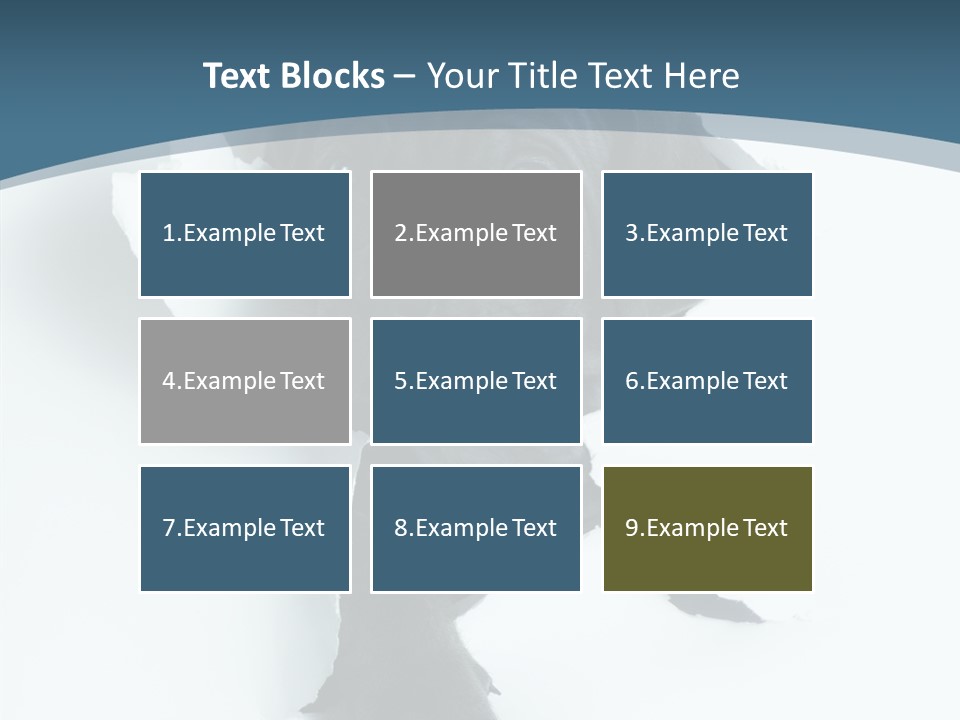 Dog Grey Korsa PowerPoint Template