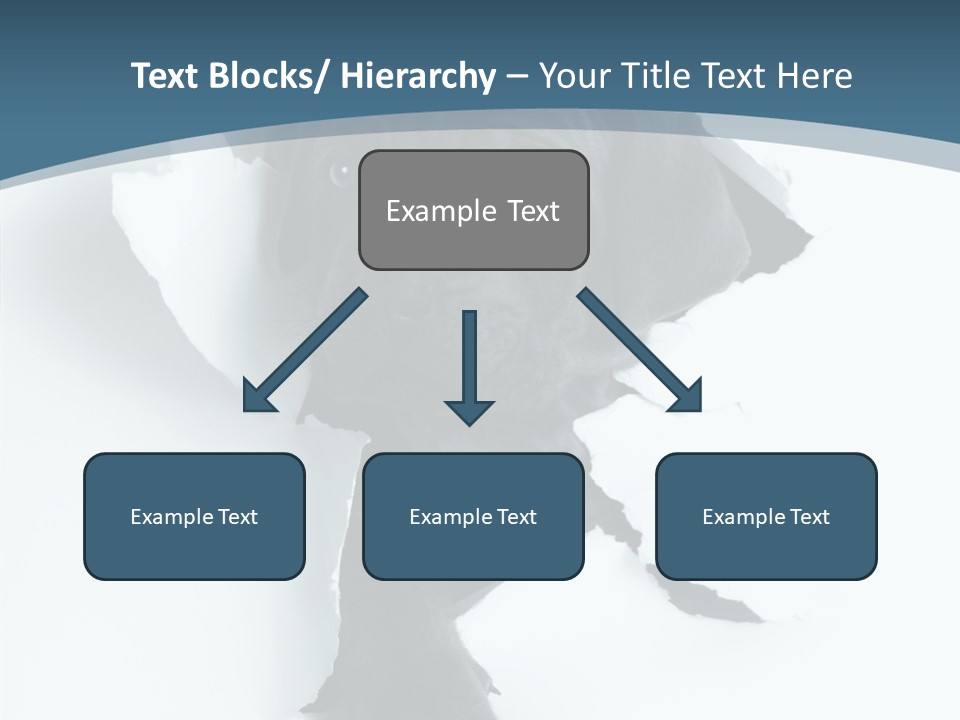 Dog Grey Korsa PowerPoint Template