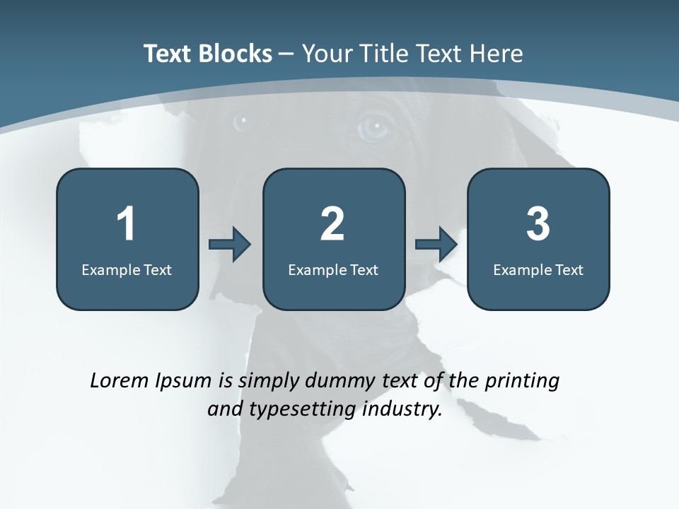 Dog Grey Korsa PowerPoint Template