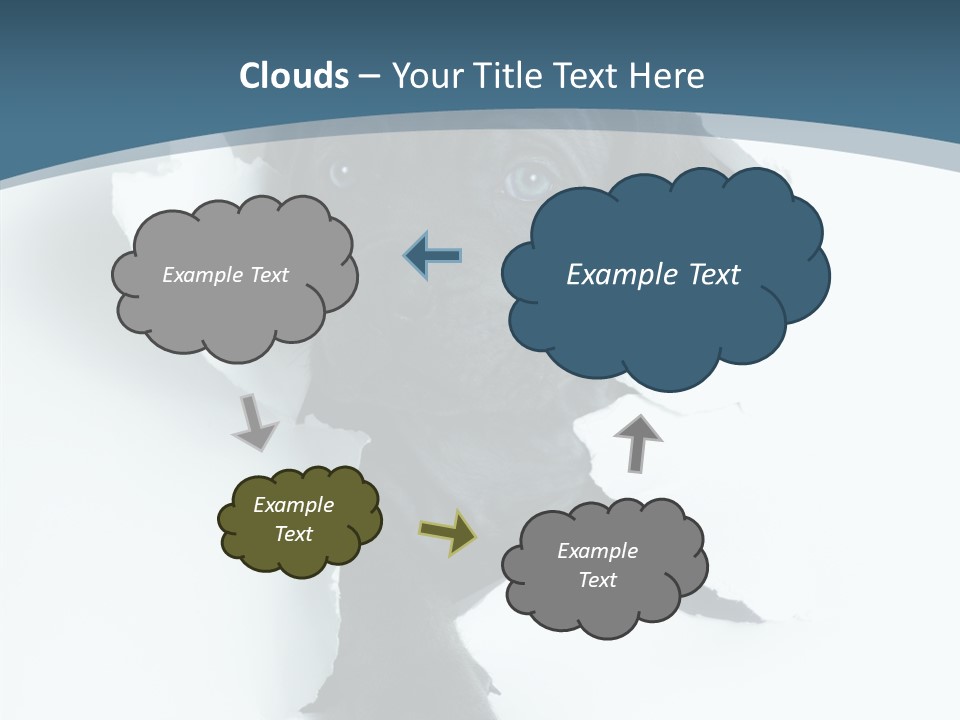 Dog Grey Korsa PowerPoint Template