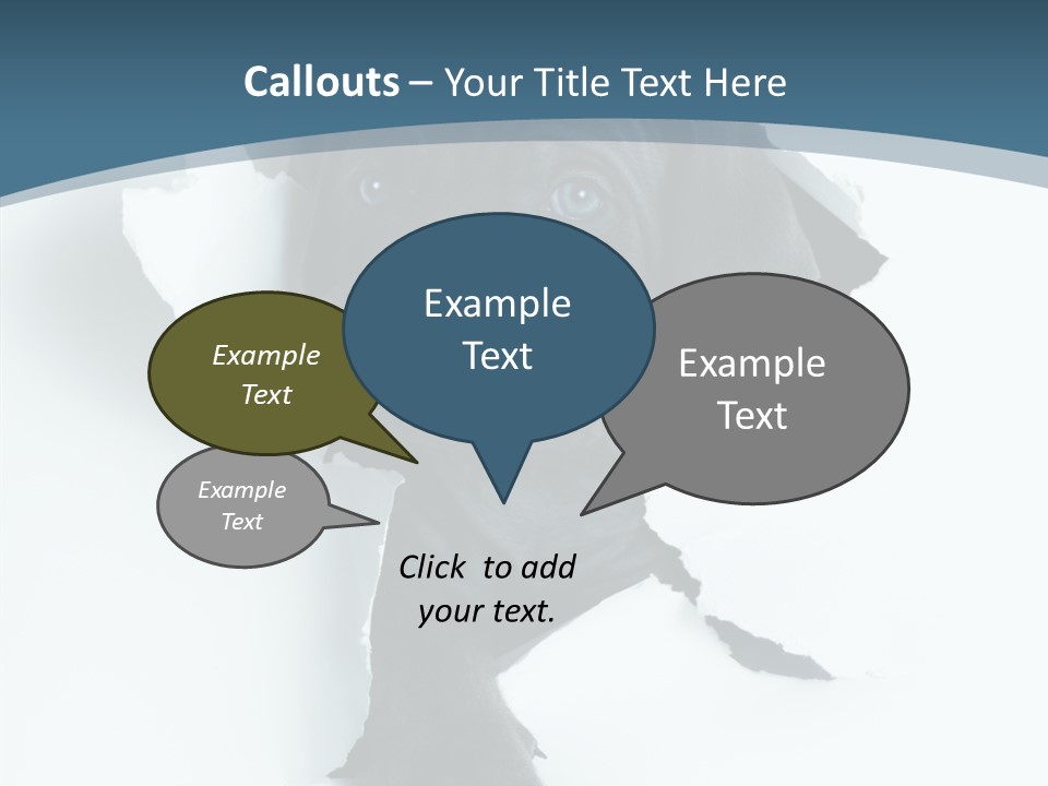 Dog Grey Korsa PowerPoint Template