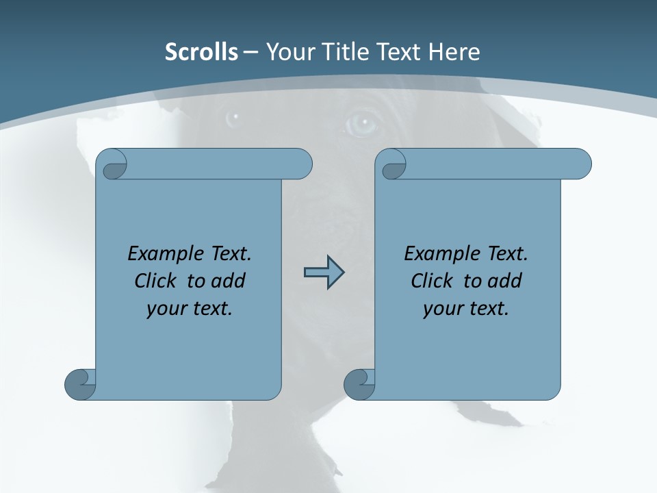 Dog Grey Korsa PowerPoint Template