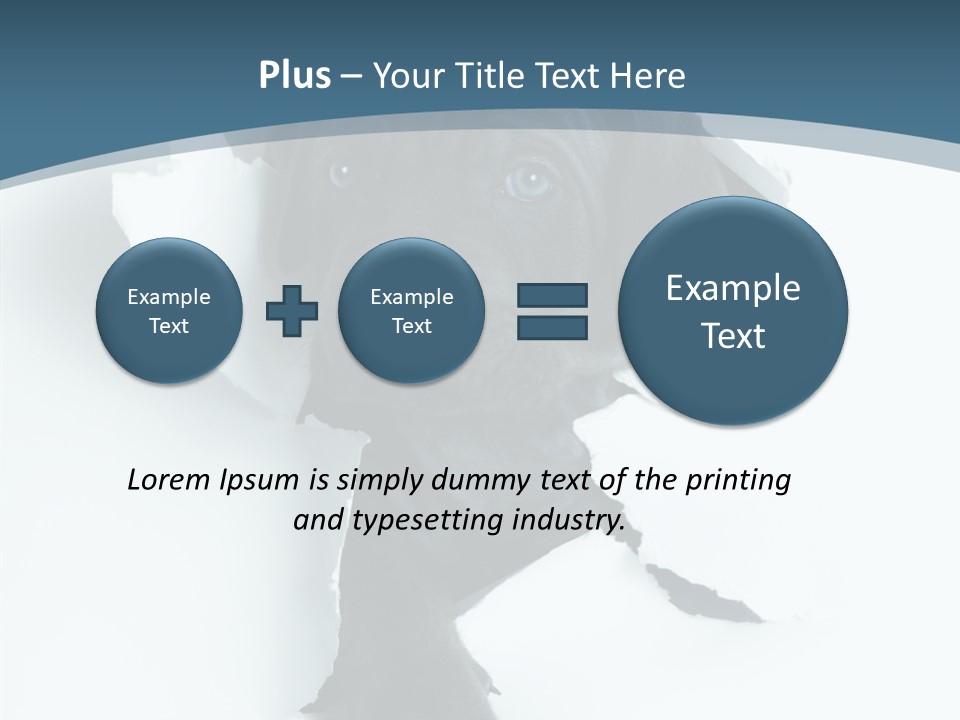 Dog Grey Korsa PowerPoint Template