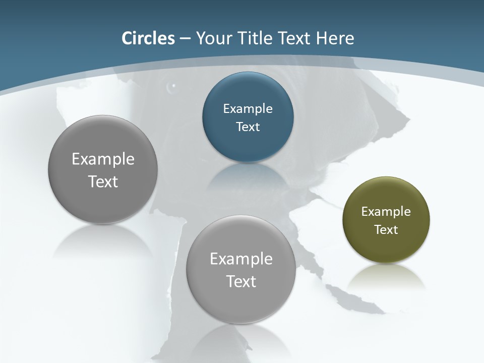 Dog Grey Korsa PowerPoint Template