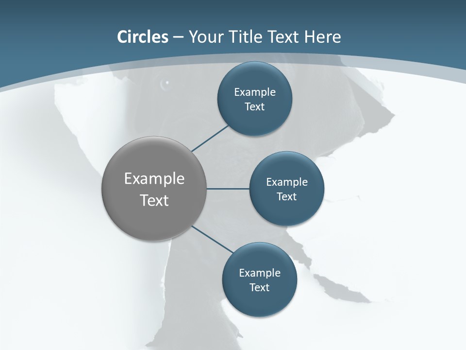 Dog Grey Korsa PowerPoint Template