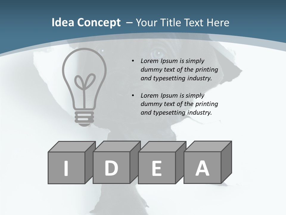 Dog Grey Korsa PowerPoint Template