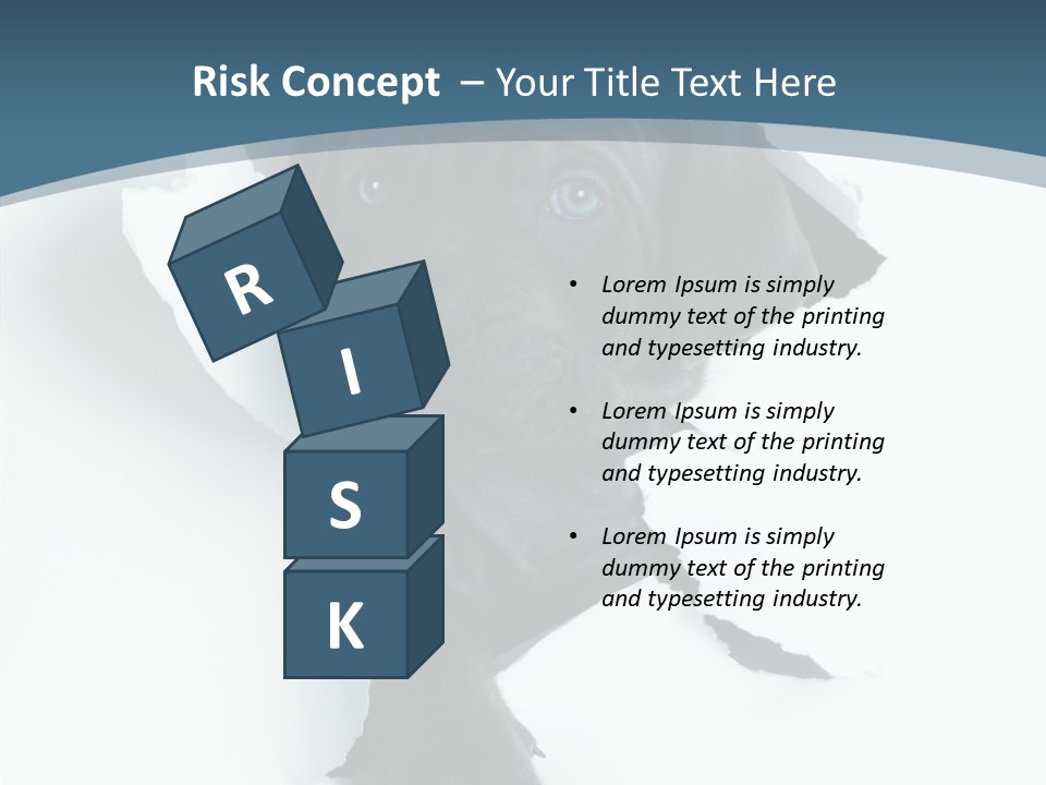 Dog Grey Korsa PowerPoint Template