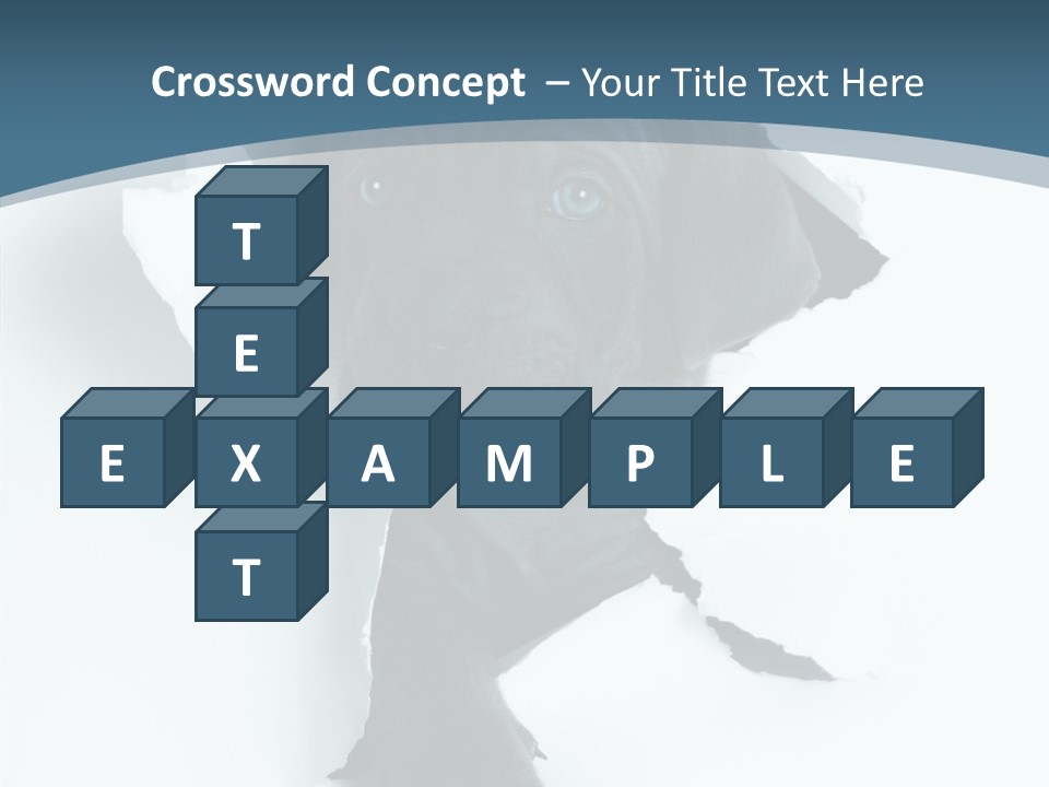 Dog Grey Korsa PowerPoint Template