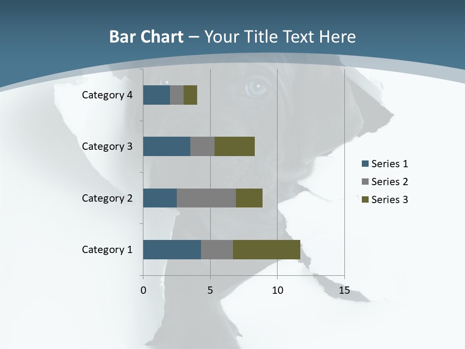 Dog Grey Korsa PowerPoint Template