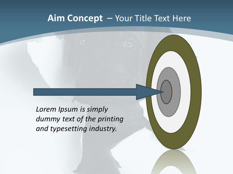 Dog Grey Korsa PowerPoint Template