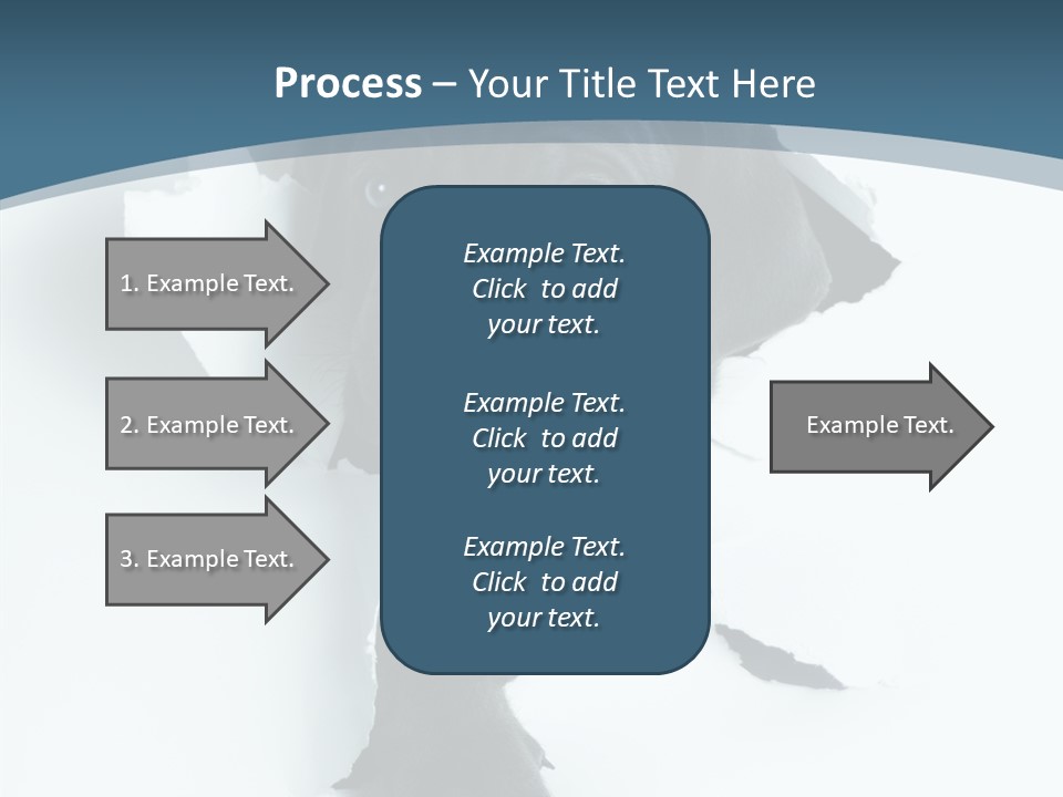 Dog Grey Korsa PowerPoint Template