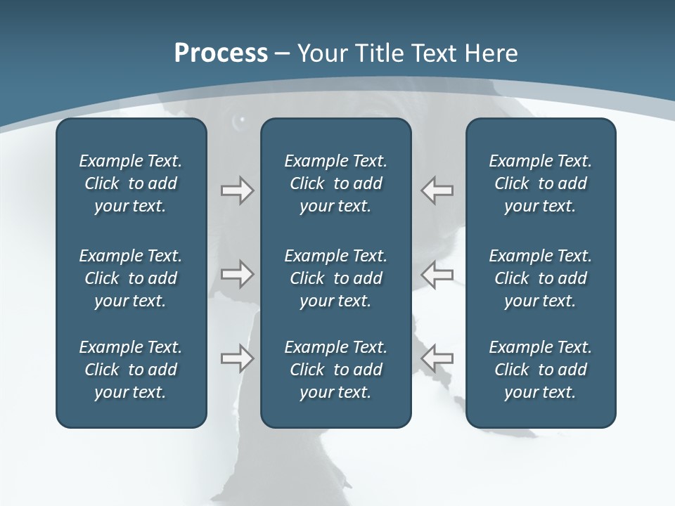 Dog Grey Korsa PowerPoint Template