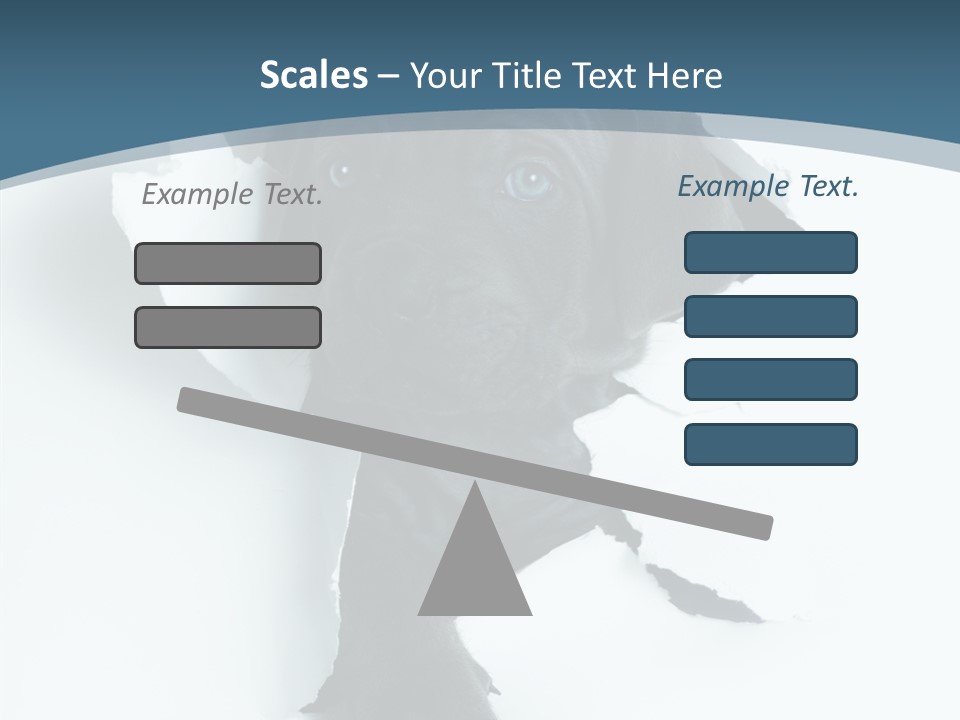 Dog Grey Korsa PowerPoint Template