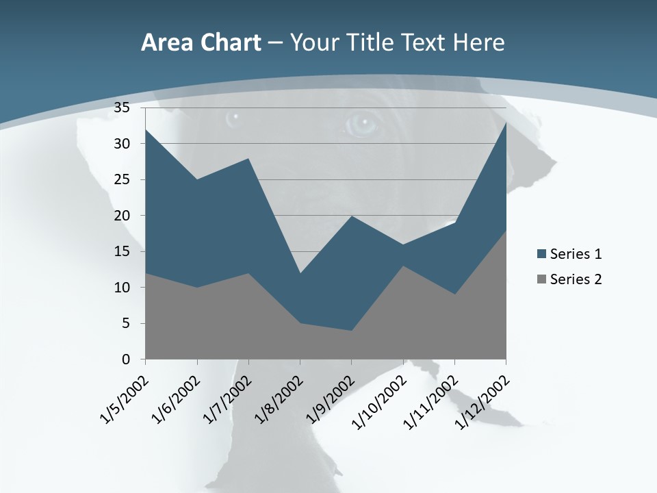 Dog Grey Korsa PowerPoint Template