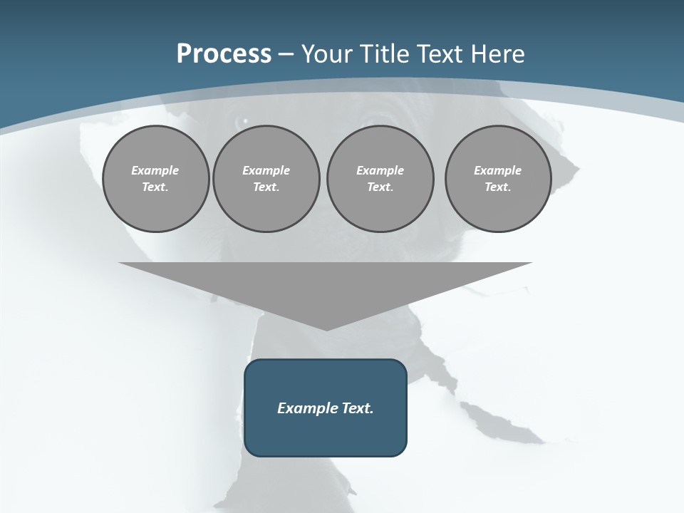 Dog Grey Korsa PowerPoint Template