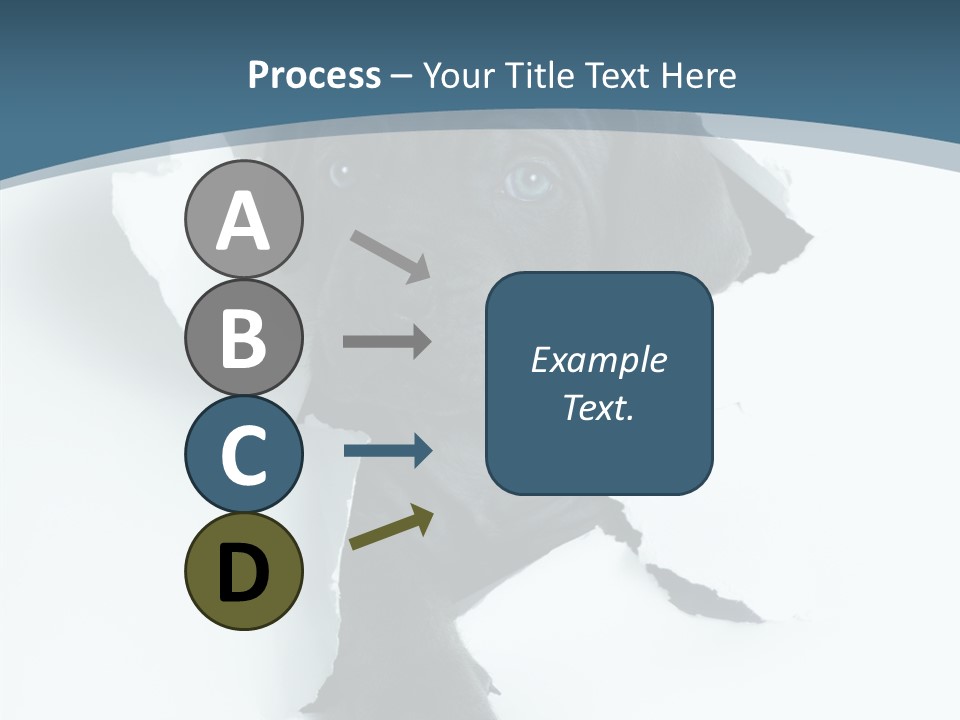 Dog Grey Korsa PowerPoint Template