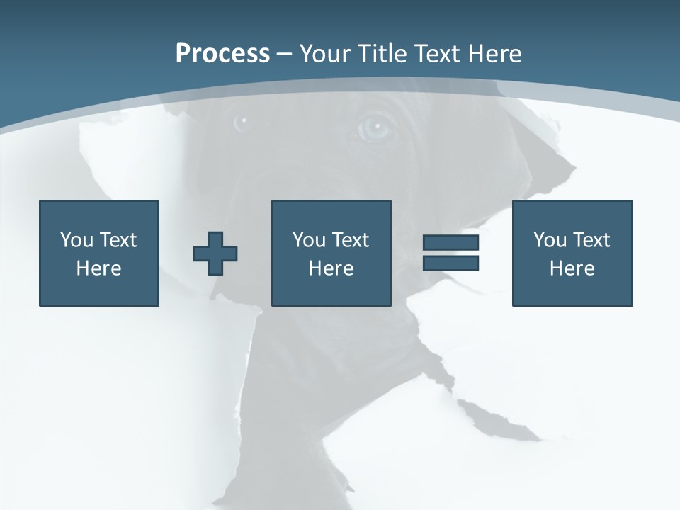 Dog Grey Korsa PowerPoint Template