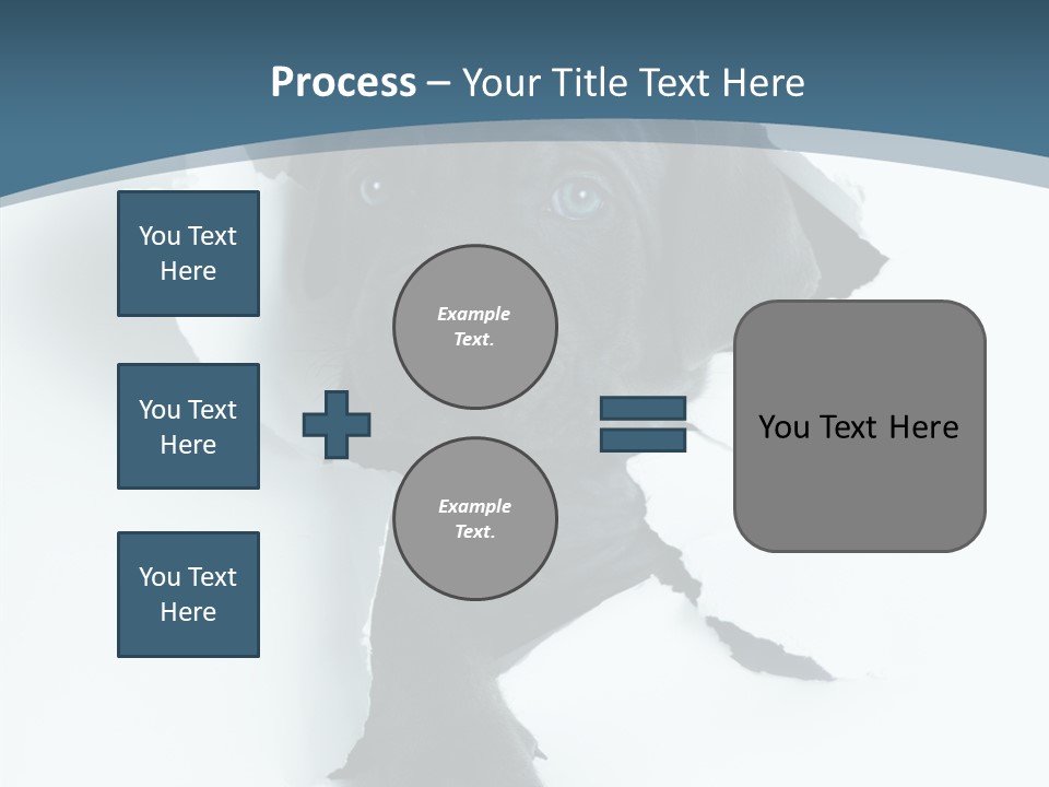 Dog Grey Korsa PowerPoint Template