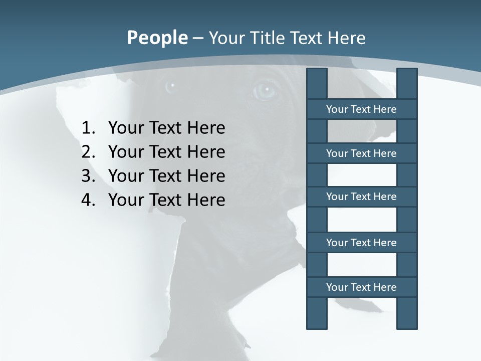 Dog Grey Korsa PowerPoint Template