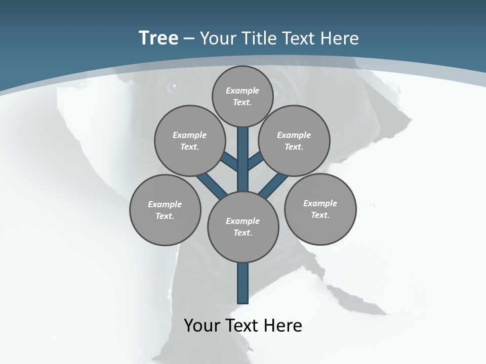 Dog Grey Korsa PowerPoint Template