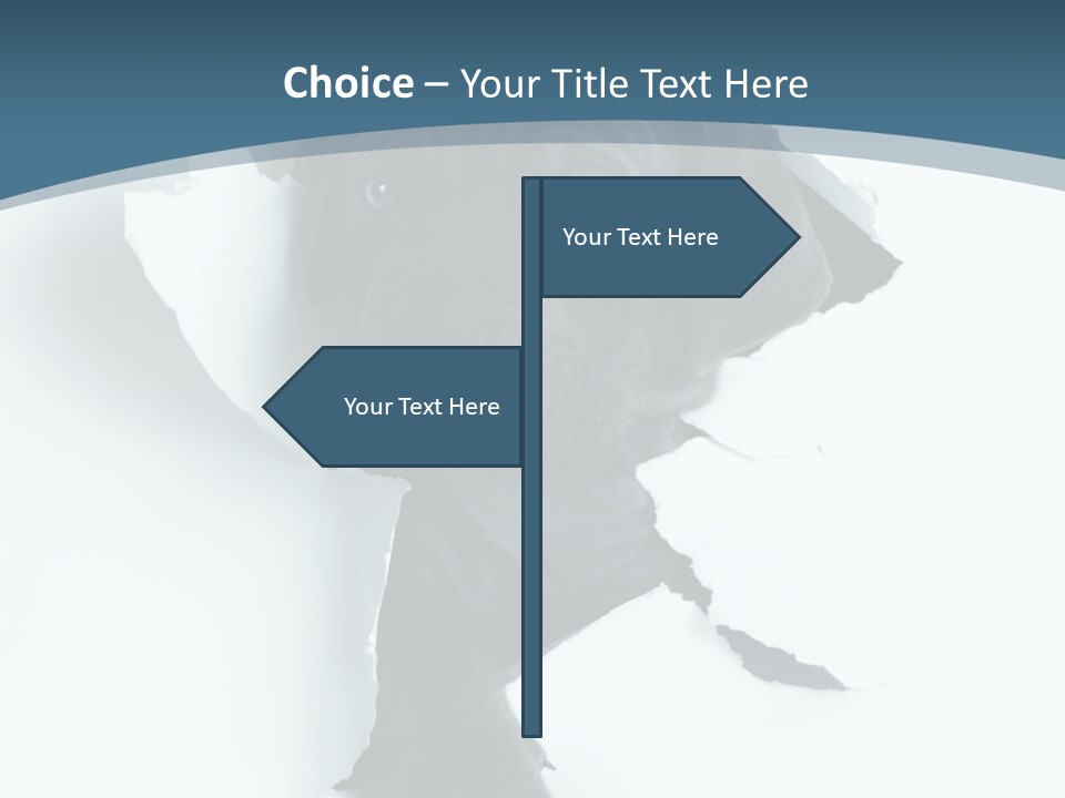 Dog Grey Korsa PowerPoint Template