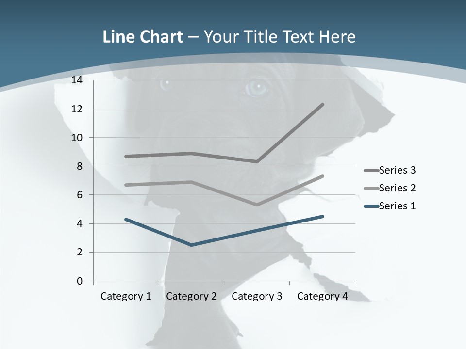 Dog Grey Korsa PowerPoint Template