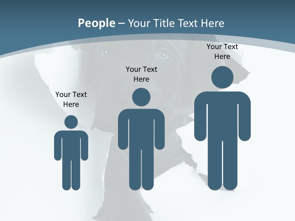 Dog Grey Korsa PowerPoint Template