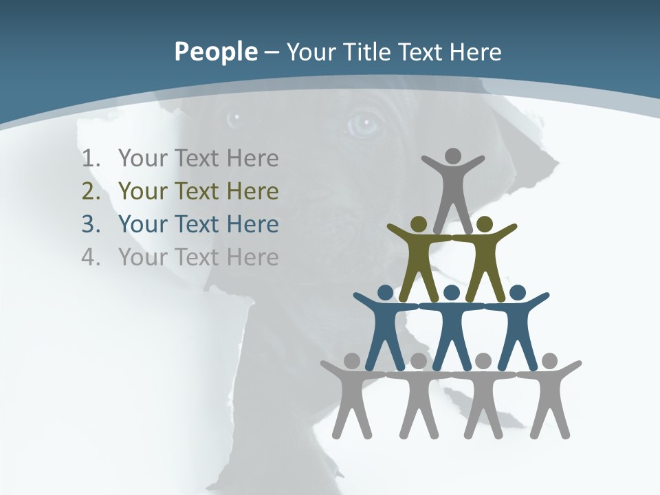 Dog Grey Korsa PowerPoint Template