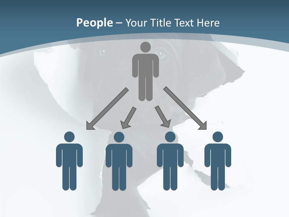 Dog Grey Korsa PowerPoint Template