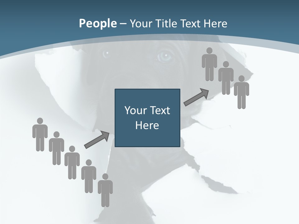 Dog Grey Korsa PowerPoint Template