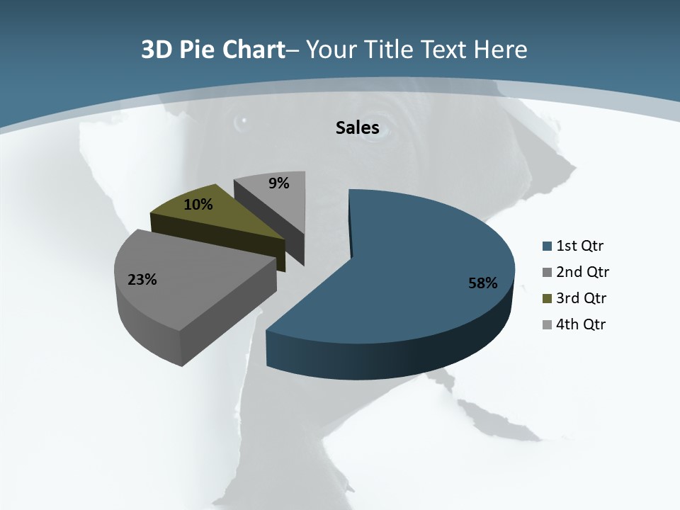 Dog Grey Korsa PowerPoint Template