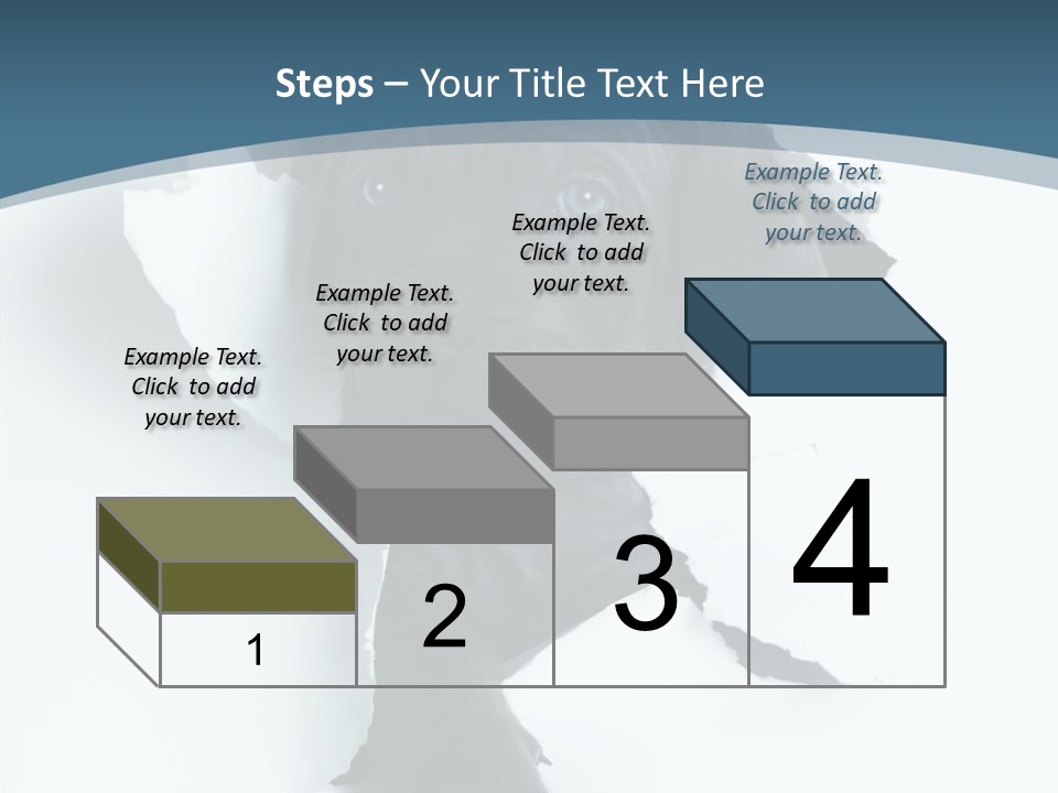 Dog Grey Korsa PowerPoint Template