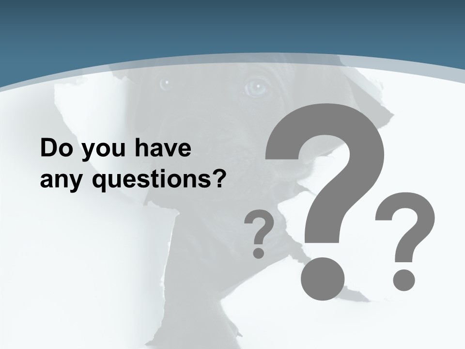 Dog Grey Korsa PowerPoint Template