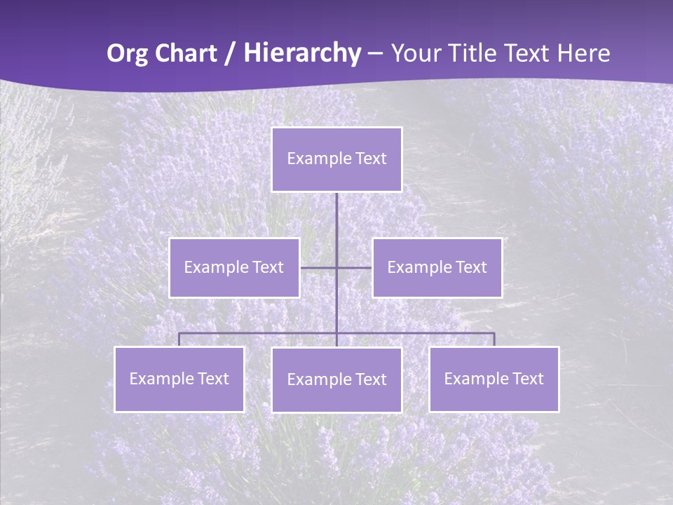 People Figure Corporate PowerPoint Template