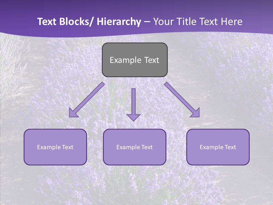 People Figure Corporate PowerPoint Template