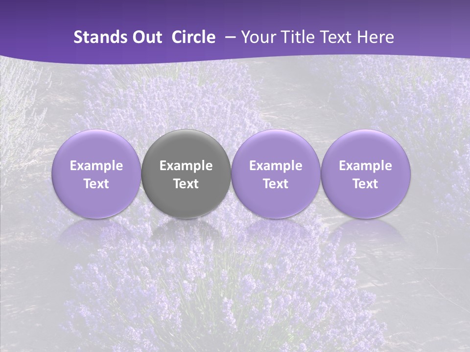 People Figure Corporate PowerPoint Template