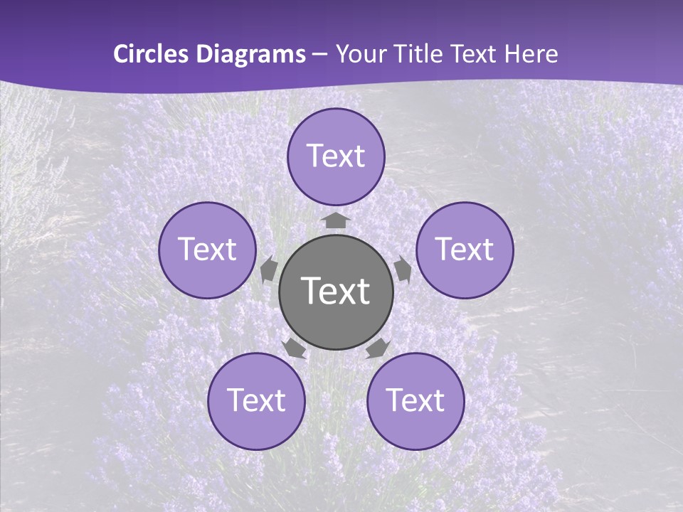 People Figure Corporate PowerPoint Template