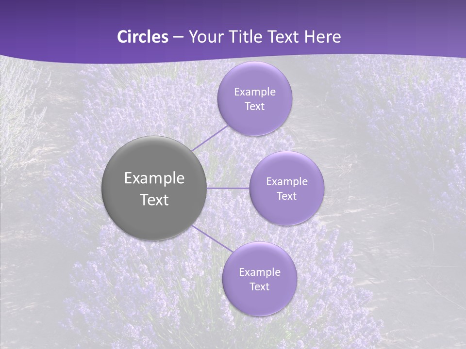 People Figure Corporate PowerPoint Template