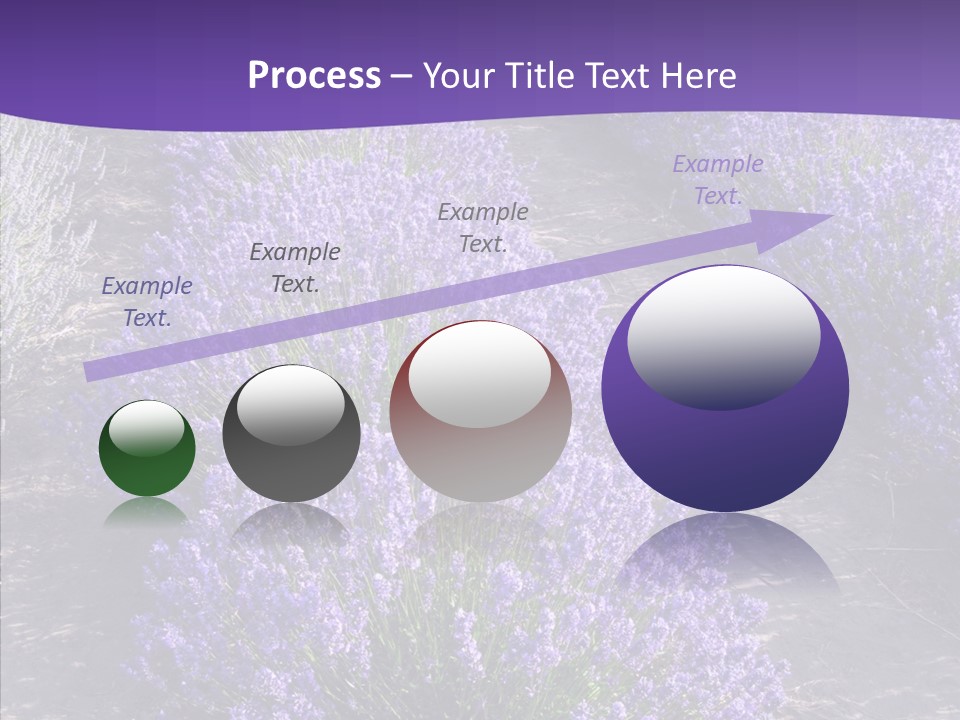 People Figure Corporate PowerPoint Template