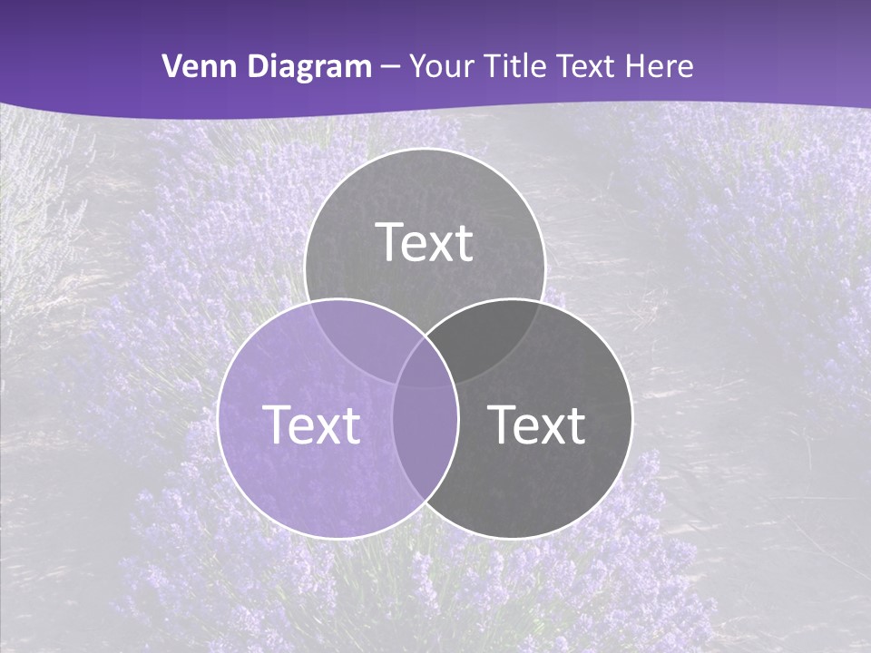 People Figure Corporate PowerPoint Template