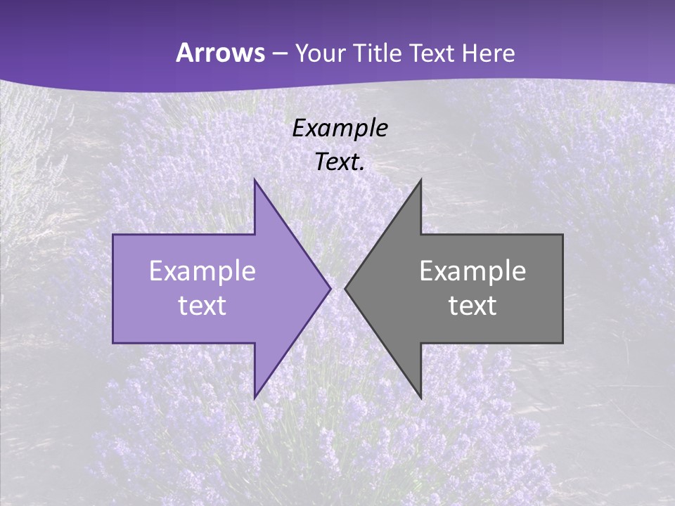 People Figure Corporate PowerPoint Template
