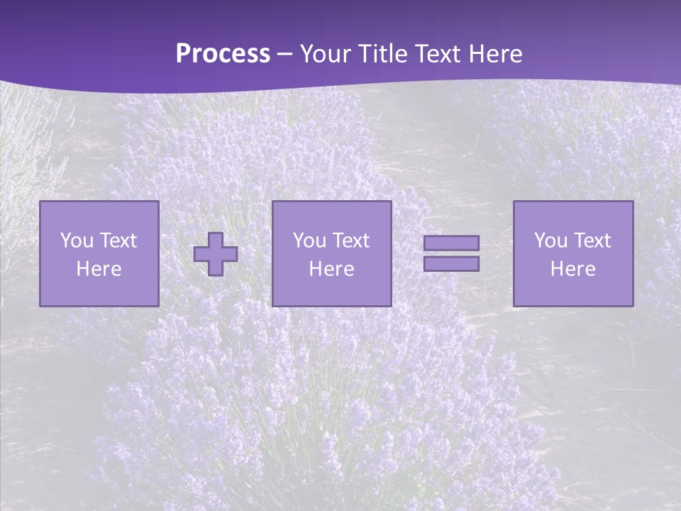 People Figure Corporate PowerPoint Template