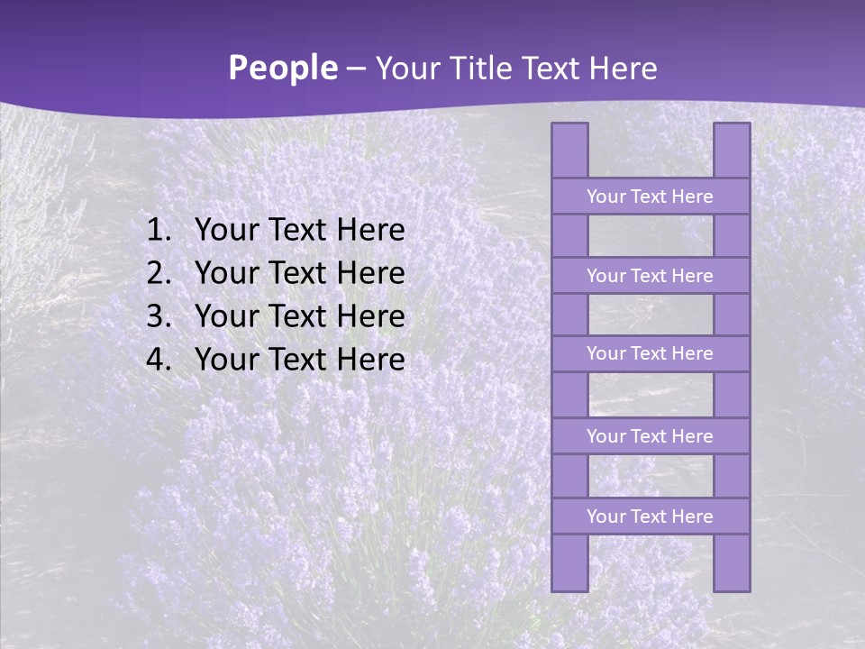 People Figure Corporate PowerPoint Template